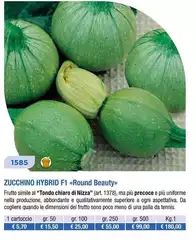 Zucchino Hybrid F1 Round Beauty