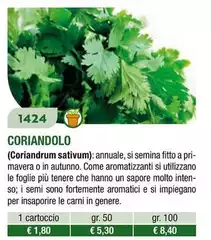 Coriandolo Coriandolo