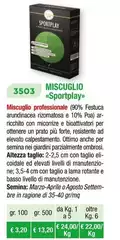 Miscuglio Sportplay Miscuglio Sportplay