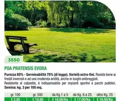 Poa Pratensis Evora Poa Pratensis Evora