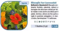 Fiori Commestibili Novita 2024 Nuova Selezione Ingegnoli Fiori Commestibili Novita 2024 Nuova Selezione Ingegnoli