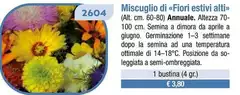 Miscuglio Di «Fiori Estvi Alti Miscuglio Di «Fiori Estvi Alti