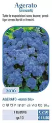 Agerato Annuale