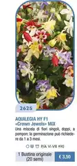Aquilegia Hy F1 Crown Jewels Mix Perenne Novita 2024
