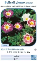 Belle Di Giorno In Miscuglio