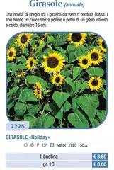 Girasole Holiday Girasole Holiday