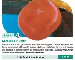 Kaki Mela O' Gosh