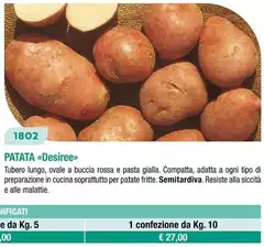 Patata  