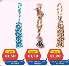 Gioco Per Cani Gioco Per Cani