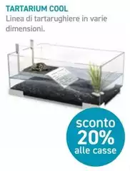 Tartarium Cool Tartarium Cool