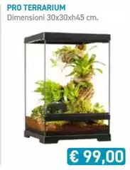 Pro Terrarium Pro Terrarium