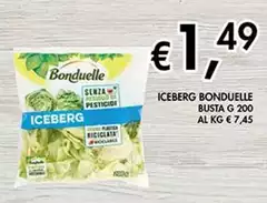 Bonduelle - Iceberg