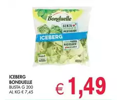 Bonduelle - Iceberg