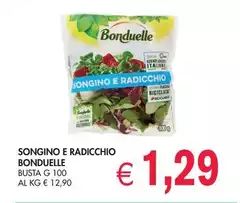 Bonduelle - Songino E Radicchio