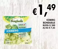 Bonduelle - Iceberg