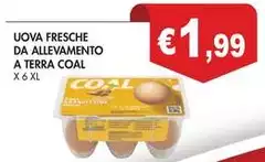 Coal - Uova Fresche Da Allevamento A Terra