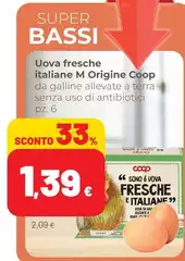 Bassi - Uova Fresche Italiane M