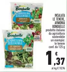 Bonduelle - Insalata Le Tenere, Armonia Bonduelle - Insalata Le Tenere, Armonia