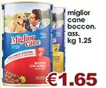 Morando - Miglior Cane Boccon
