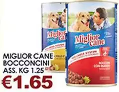 Morando - Miglior Cane Bocconcini