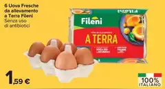 Fileni - 6 Uova Fresche Da Alicavamento A Terra