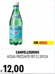 San Pellegrino - Acqua Frizzante Pet San Pellegrino - Acqua Frizzante Pet