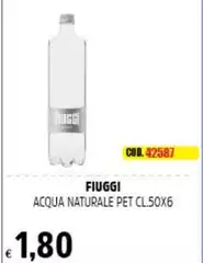 Fiuggi - Acqua Naturale Pet