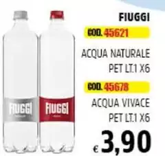 Fiuggi - Acqua Vivace Pet