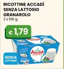 Granarolo - Ricottine Accadì Senza Lattosio 2 X 100 G