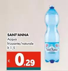 Sant'anna - Acqua Frizzante/Naturale