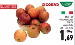 Solo - Mele Fuji Percorso Qualità