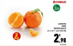Conad - Clementine Percorso Qualità