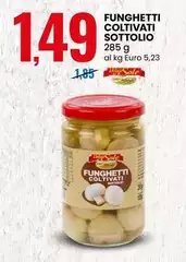 Sole - Funghetti Coltivati Sottolio