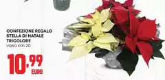 Stella - Confezione Regalo  Di Natale Tricolore