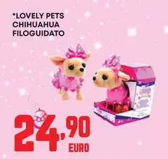 Lovely -  Pets Chihuahua Filoguidato