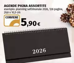 Pigna - Agenda Assortite Pigna - Agenda Assortite