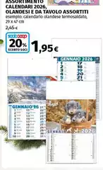 Coop - Assortimento Calendril 2026 Olandesi E Da Tavolo Coop - Assortimento Calendril 2026 Olandesi E Da Tavolo