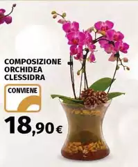 Orchidea - Composizione Clessidra Orchidea - Composizione Clessidra
