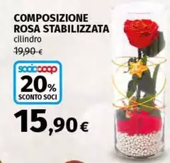 Composizione Rosa Stabilizzata Composizione Rosa Stabilizzata