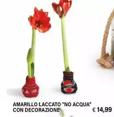 Amarillo Laccato "No Acqua" Con Decorazione Amarillo Laccato "No Acqua" Con Decorazione