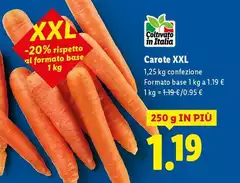 Carote XXL Carote XXL