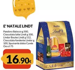 Regalidea - E' Natale Lindt Regalidea - E' Natale Lindt
