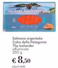 Patagonia - Salmone Argentato Coho Della Patagonia - Salmone Argentato Coho Della