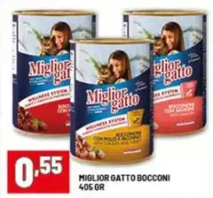 Morando - Miglior Gatto Bocconi