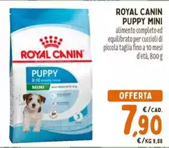 Royal Canin - Puppy Mini