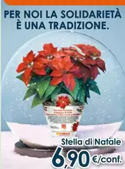 Stella - Di Natale Stella - Di Natale