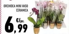Orchidea - Mini Vaso Ceramica Orchidea - Mini Vaso Ceramica