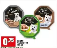 Cesar - Vaschetta Cesar - Vaschetta