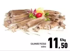 Piccolo - Calamaro Piccolo - Calamaro