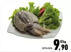 Seppia Nera Seppia Nera
